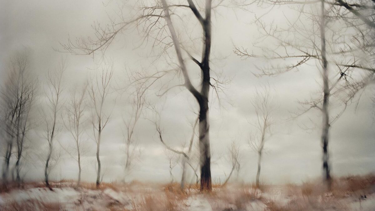 A landscape photograph by Todd Hido, an American photographer, has produced 17 books, and his work exhibited widely and included in various public collections.