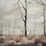 A landscape photograph by Todd Hido, an American photographer, has produced 17 books, and his work exhibited widely and included in various public collections.