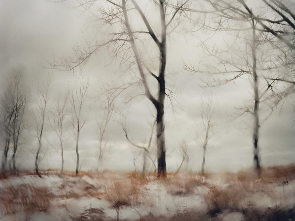 A landscape photograph by Todd Hido, an American photographer, has produced 17 books, and his work exhibited widely and included in various public collections.