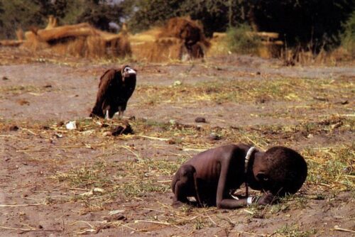 Vulture Stalking a Child: A photography by Kevin Carter, 1993